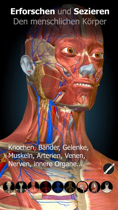 Anatomy Learning - Anatomía 3D screenshot 3