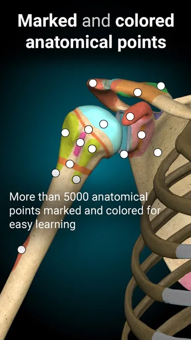 Anatomy Learning - Anatomía 3D screenshot 4