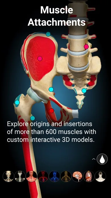 Anatomy Learning - Anatomía 3D screenshot 5