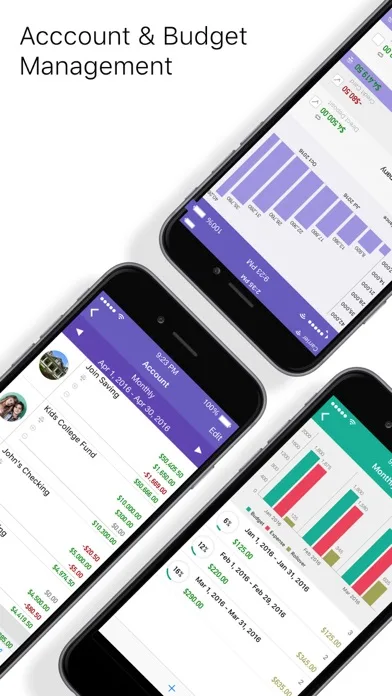 iXpenseIt Pro: Gestión Finanza screenshot 3