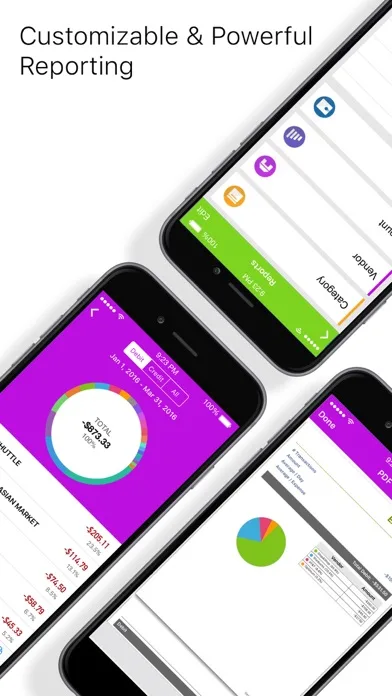 iXpenseIt Pro: Gestión Finanza screenshot 4