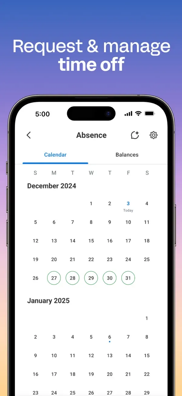 Workday screenshot 5