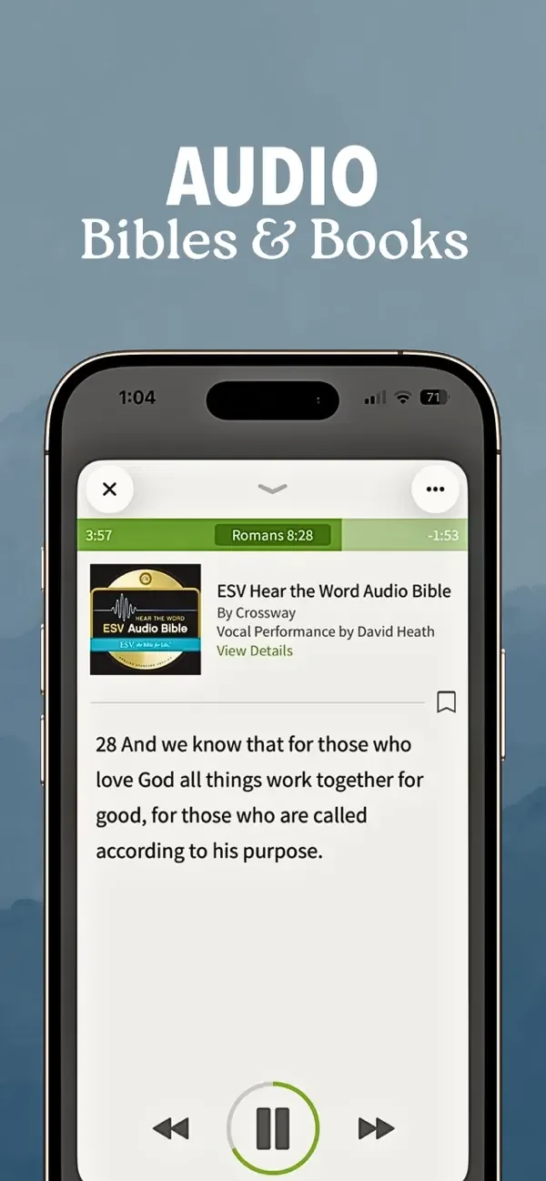 Biblia Sagrada + screenshot 4