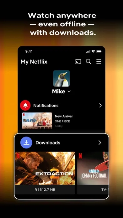 Netflix screenshot 2