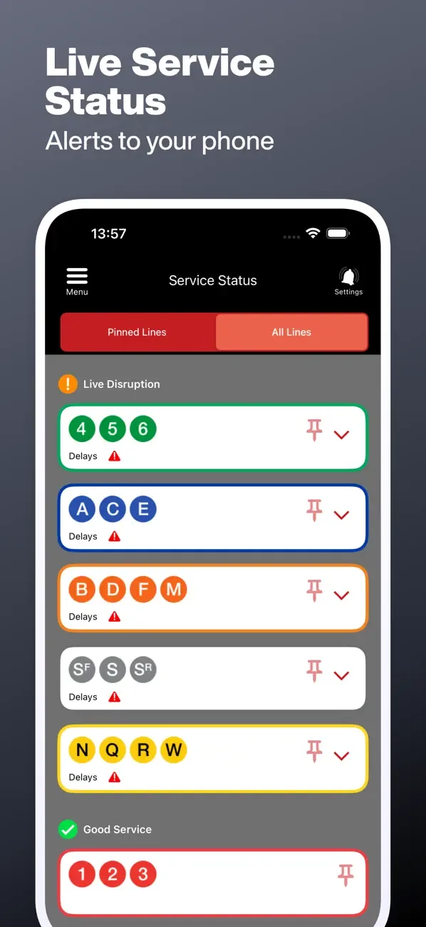 Metro de Nueva York screenshot 4