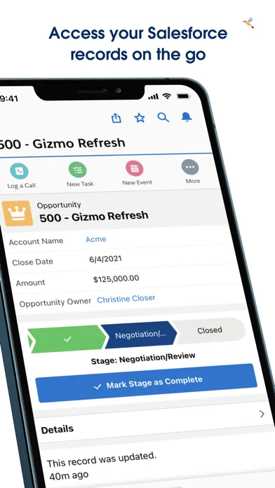 Salesforce screenshot 3