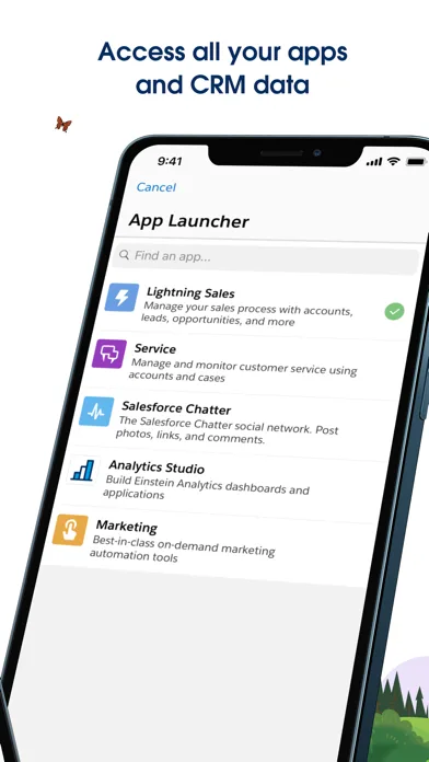 Salesforce screenshot 4