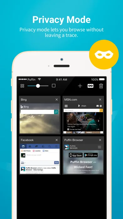 Puffin Cloud Browser screenshot 2