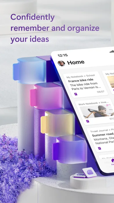 Microsoft OneNote screenshot 1