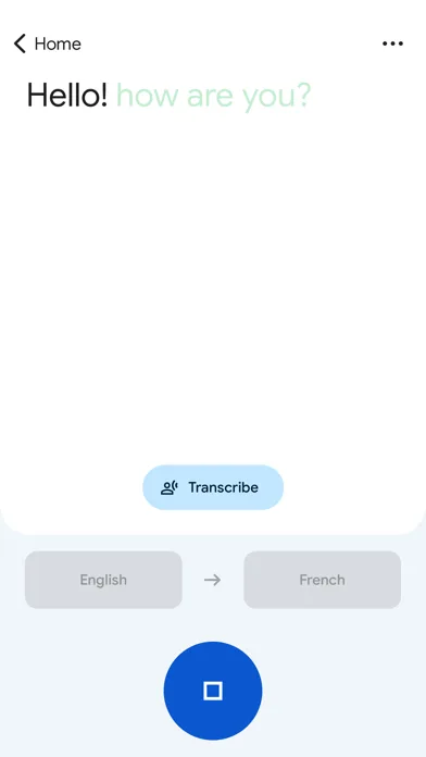 Google Перекладач screenshot 2