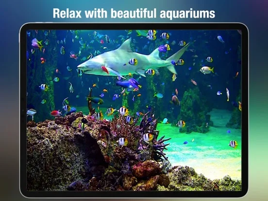 Aquarium Screen HD screenshot 4