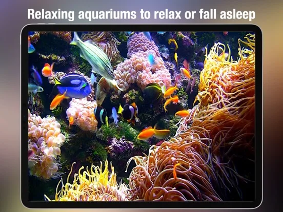 Aquarium Screen HD screenshot 5