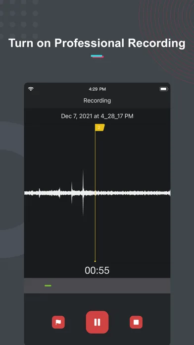 Диктофон Pro screenshot 1
