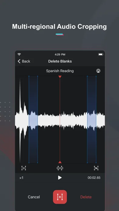 Диктофон Pro screenshot 3