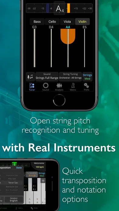 TonalEnergy Afinador y Metróno screenshot 4