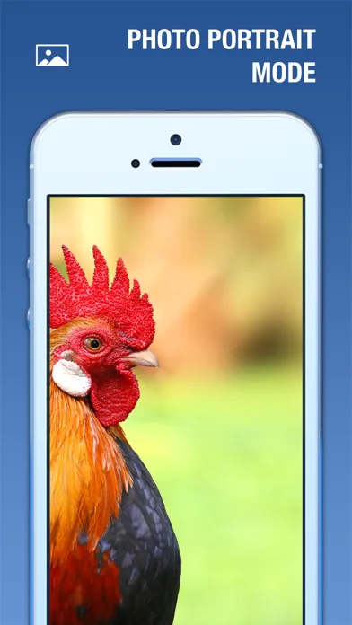 Relax-ing Melodies & Music screenshot 5