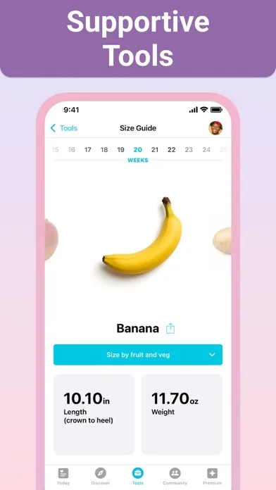 Embarazo + | Semana a semana screenshot 2