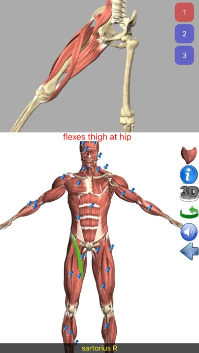 Visual Anatomy screenshot 2