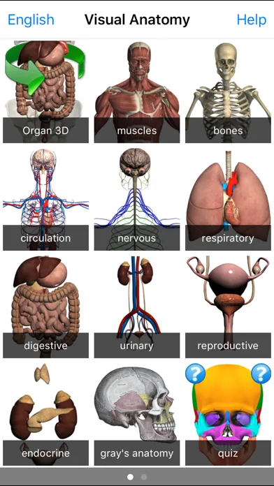Visual Anatomy screenshot 5