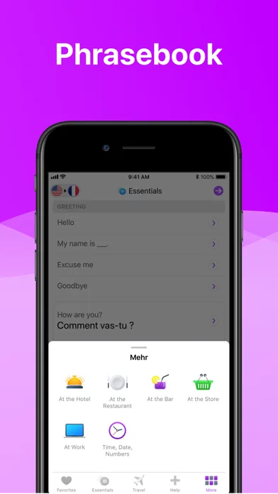 iTranslate Voice screenshot 3