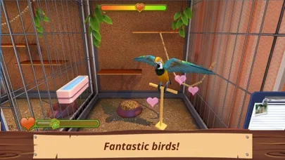 Pet World - приют для животных screenshot 2