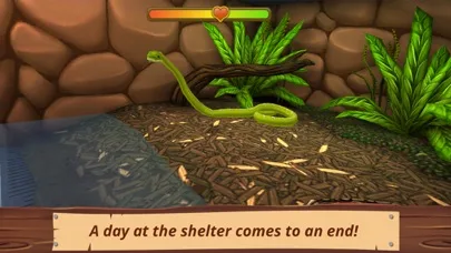 Pet World - приют для животных screenshot 4