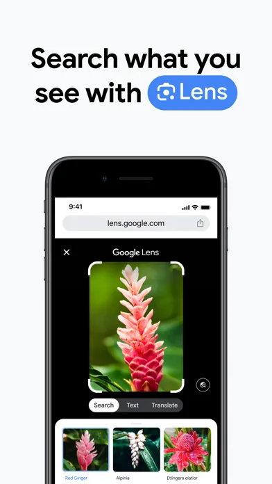 Chrome – браузер от Google screenshot 2