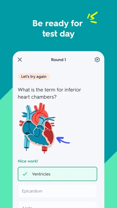 Quizlet: навчання за картками screenshot 4