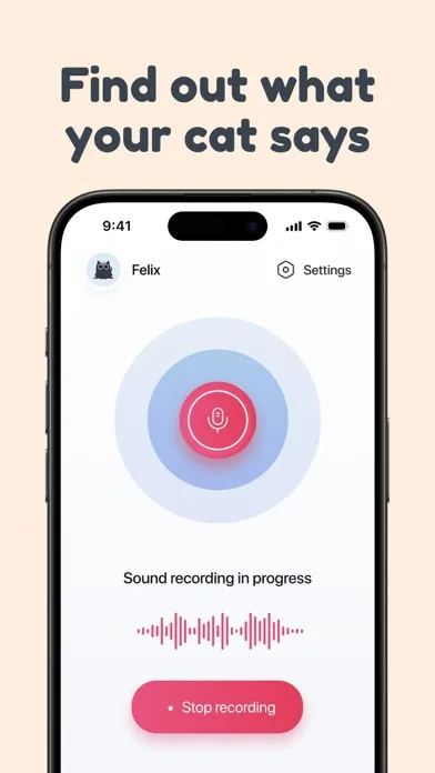 Переводчик для Кошек и Котов screenshot 2