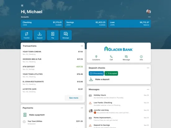 Glacier Bank screenshot 5
