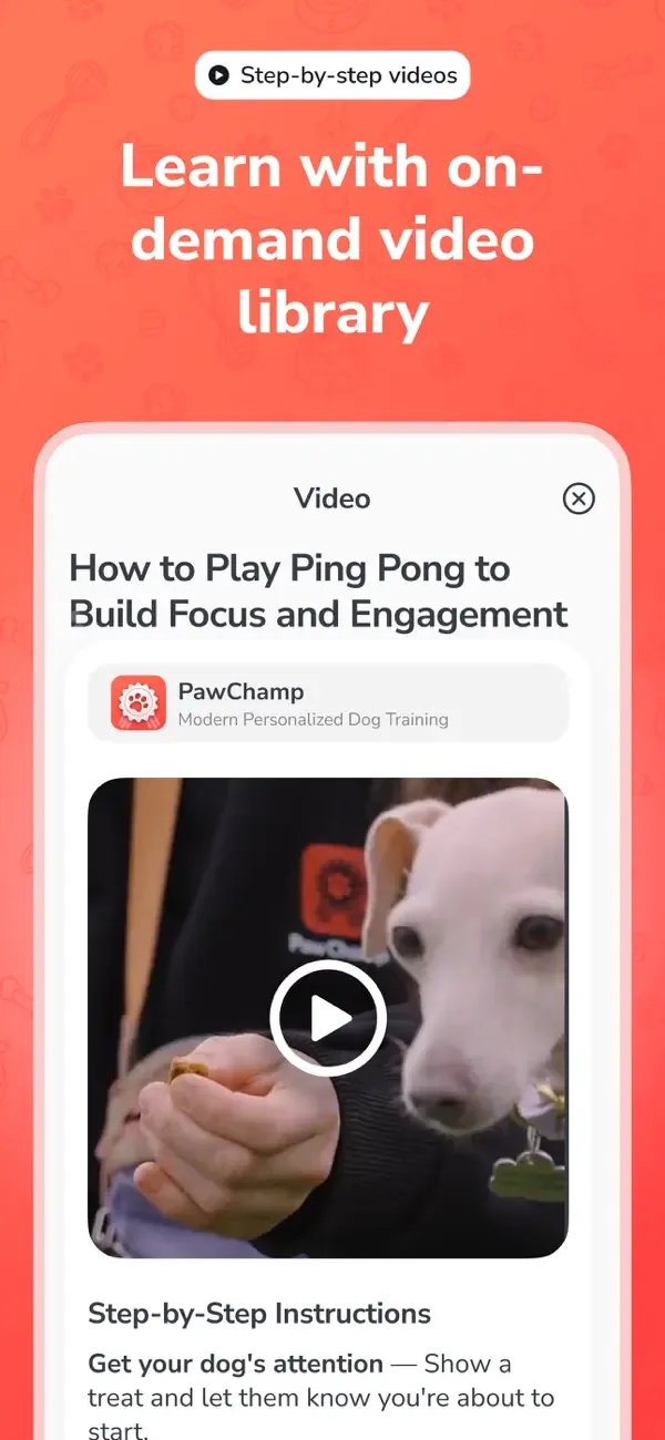 PawChamp: Entrenamiento canino screenshot 4