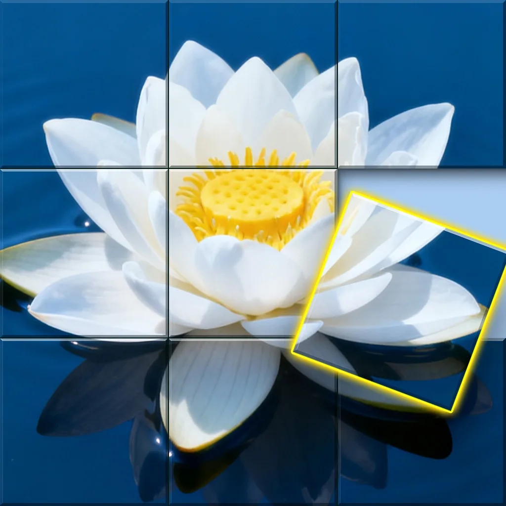 Jigmatch - Solitaire Puzzle