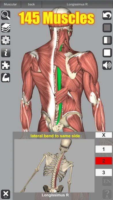 3D Anatomy screenshot 2