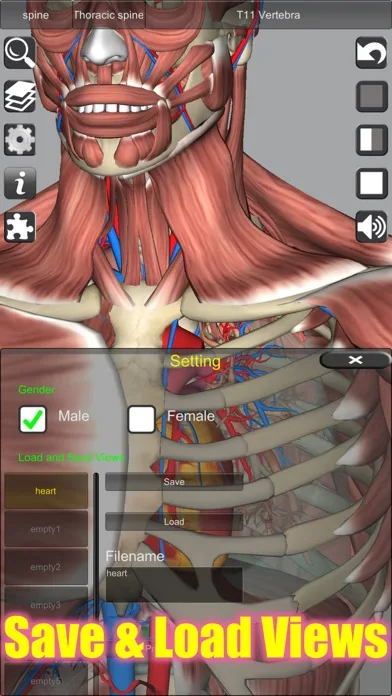 3D Anatomy screenshot 4