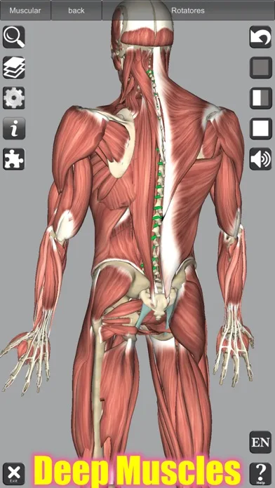 3D Anatomy screenshot 5