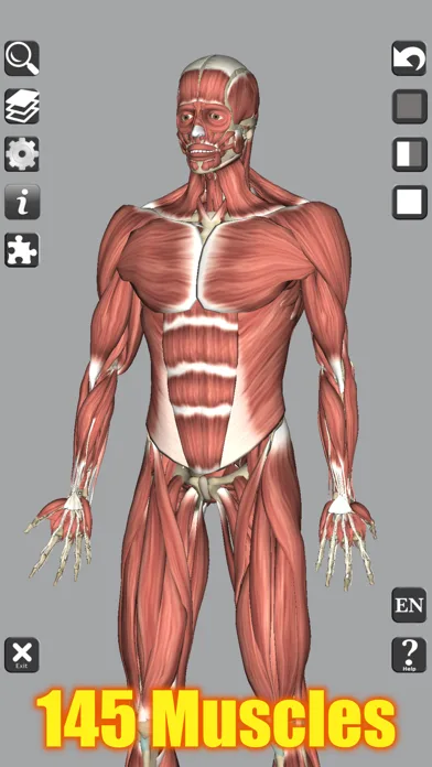 3D Anatomy Learning screenshot 1