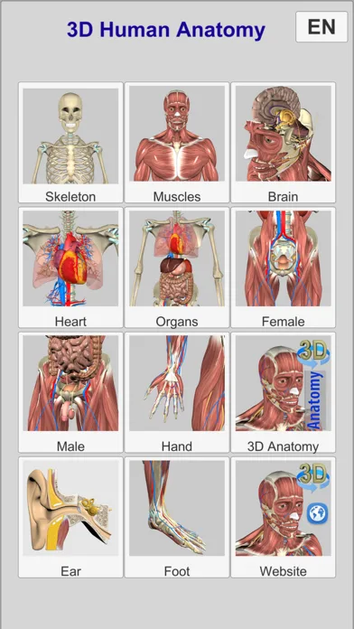 3D Anatomy Learning screenshot 2