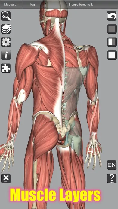 3D Anatomy Learning screenshot 3