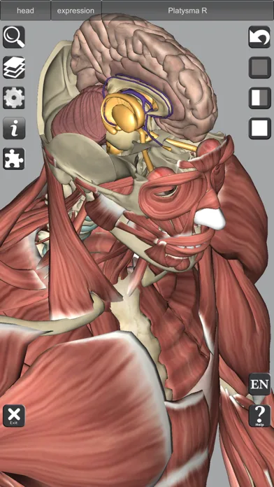 3D Anatomy Learning screenshot 4