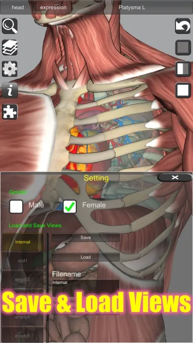 3D Anatomy Learning screenshot 5