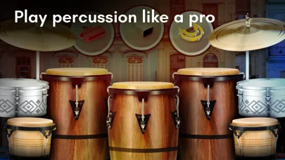 Real Percussion: pad de tambor screenshot 1
