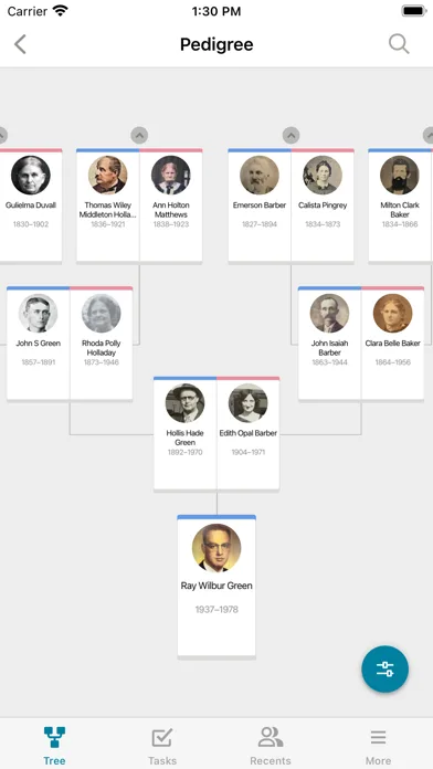 FamilySearch Древо screenshot 4