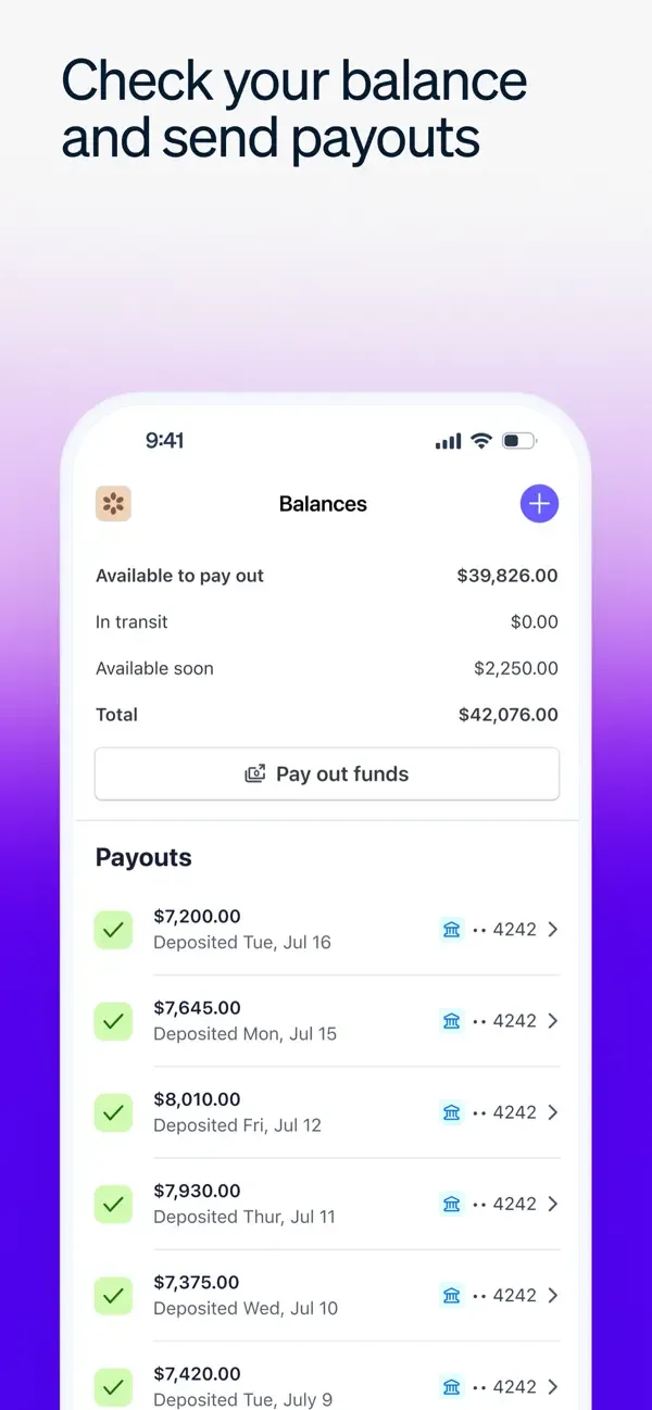 Stripe Dashboard screenshot 4