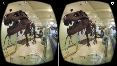 Google Cardboard screenshot 4