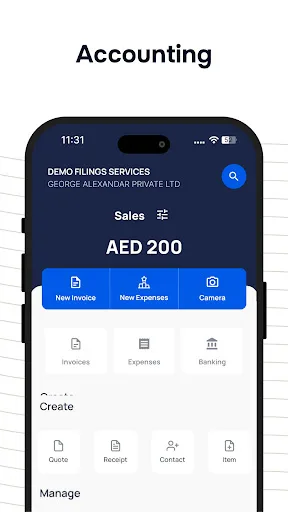 Filings UAE screenshot 4