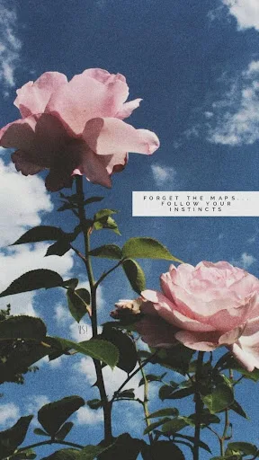 fondos de pantalla aesthetic screenshot 4