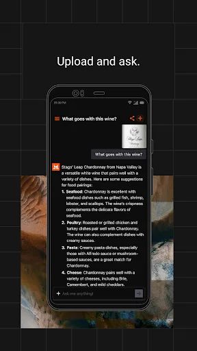 Le Chat by Mistral AI screenshot 4