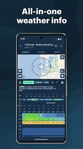 Windy.app - vientos y oleajes screenshot 2