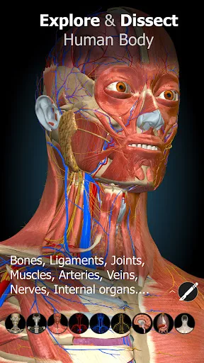 Anatomy Learning - 3D анатомия screenshot 1