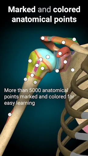 Anatomy Learning - 3D анатомия screenshot 3